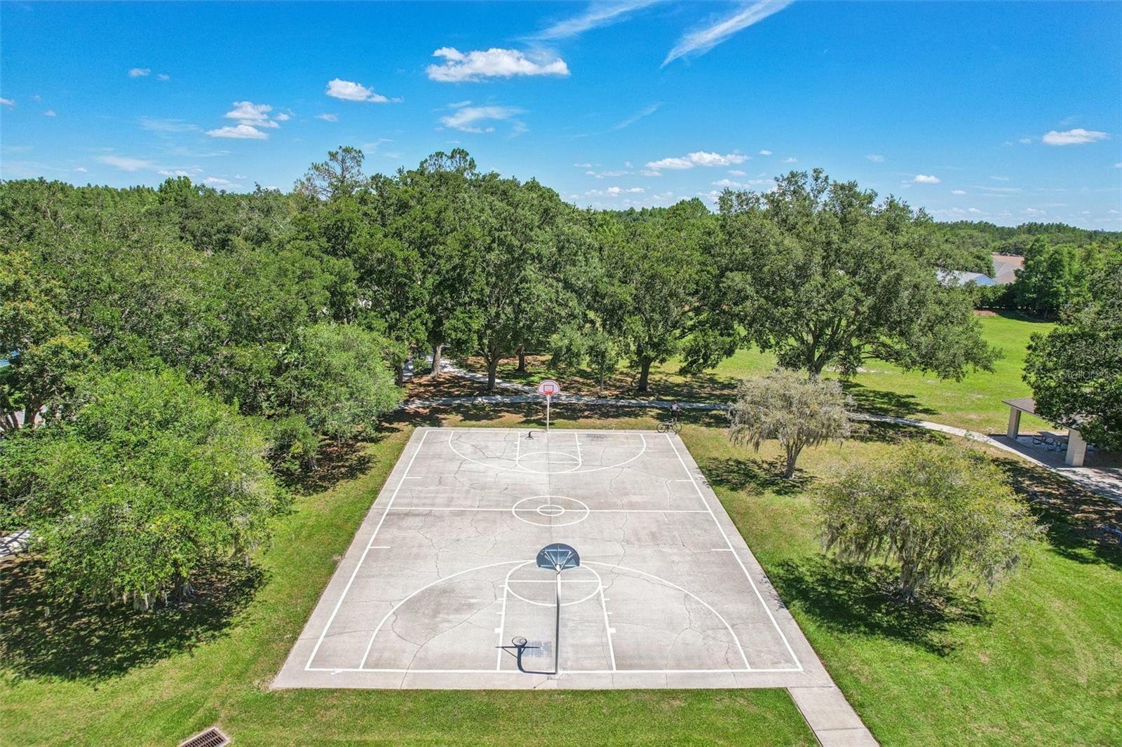 19113 GOLDEN CACOON PL, LUTZ, FL, 33558