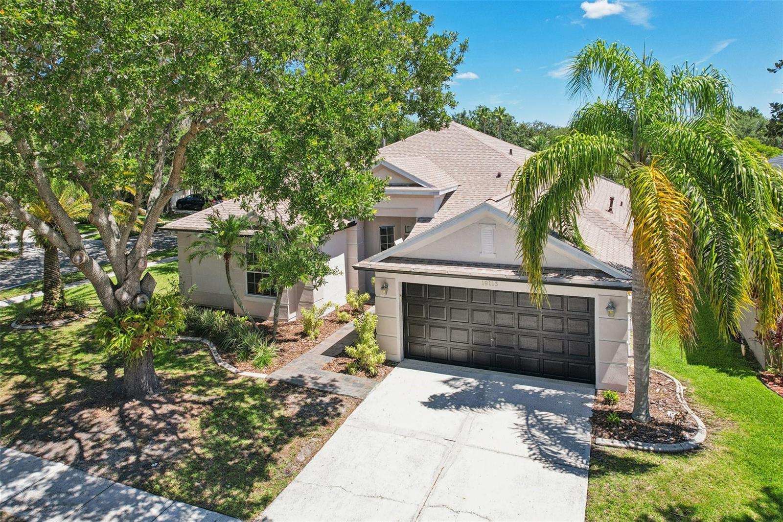 19113 GOLDEN CACOON PL, LUTZ, FL, 33558