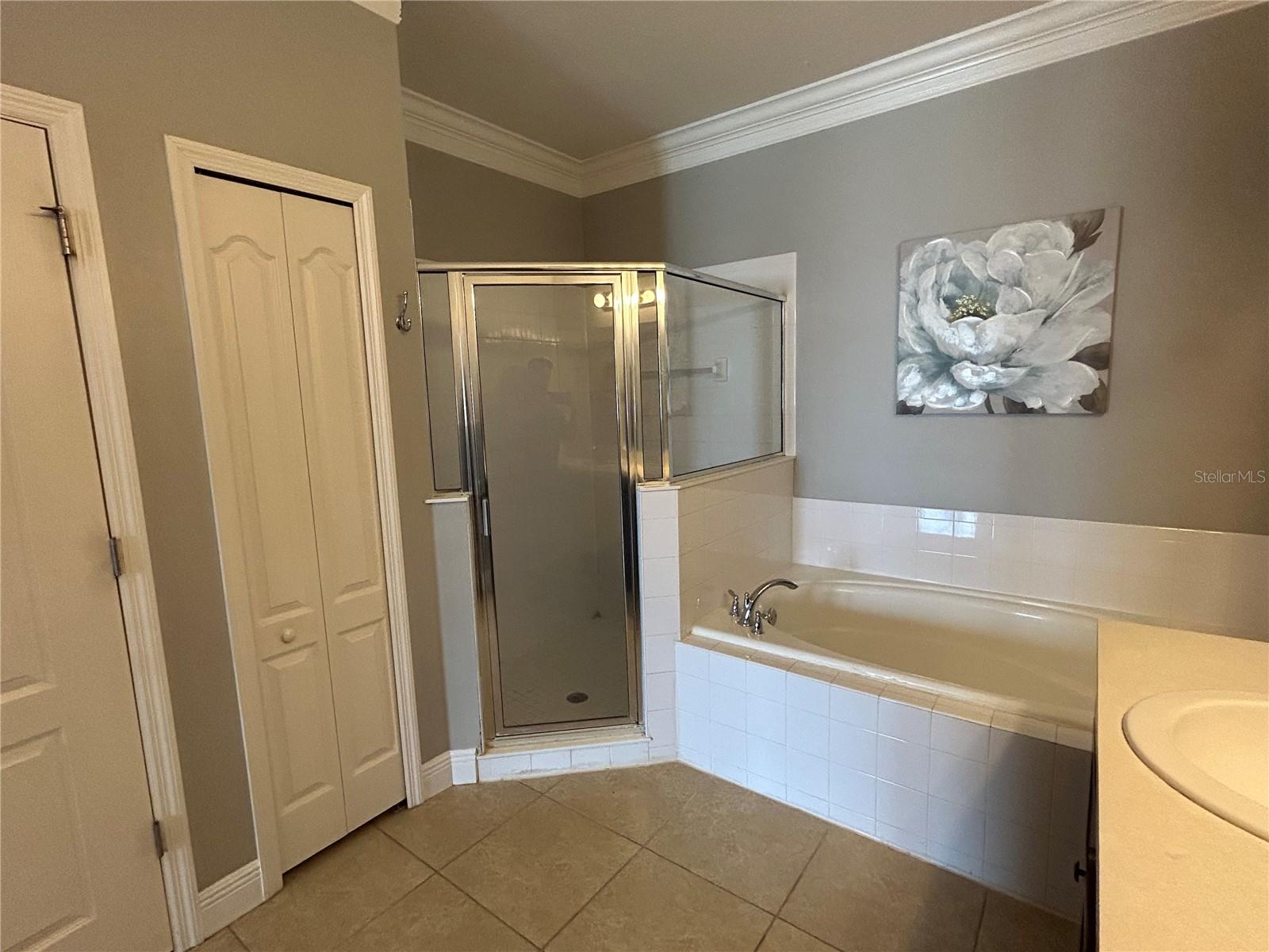 3538 FOXCHASE DR, CLERMONT, FL, 34711