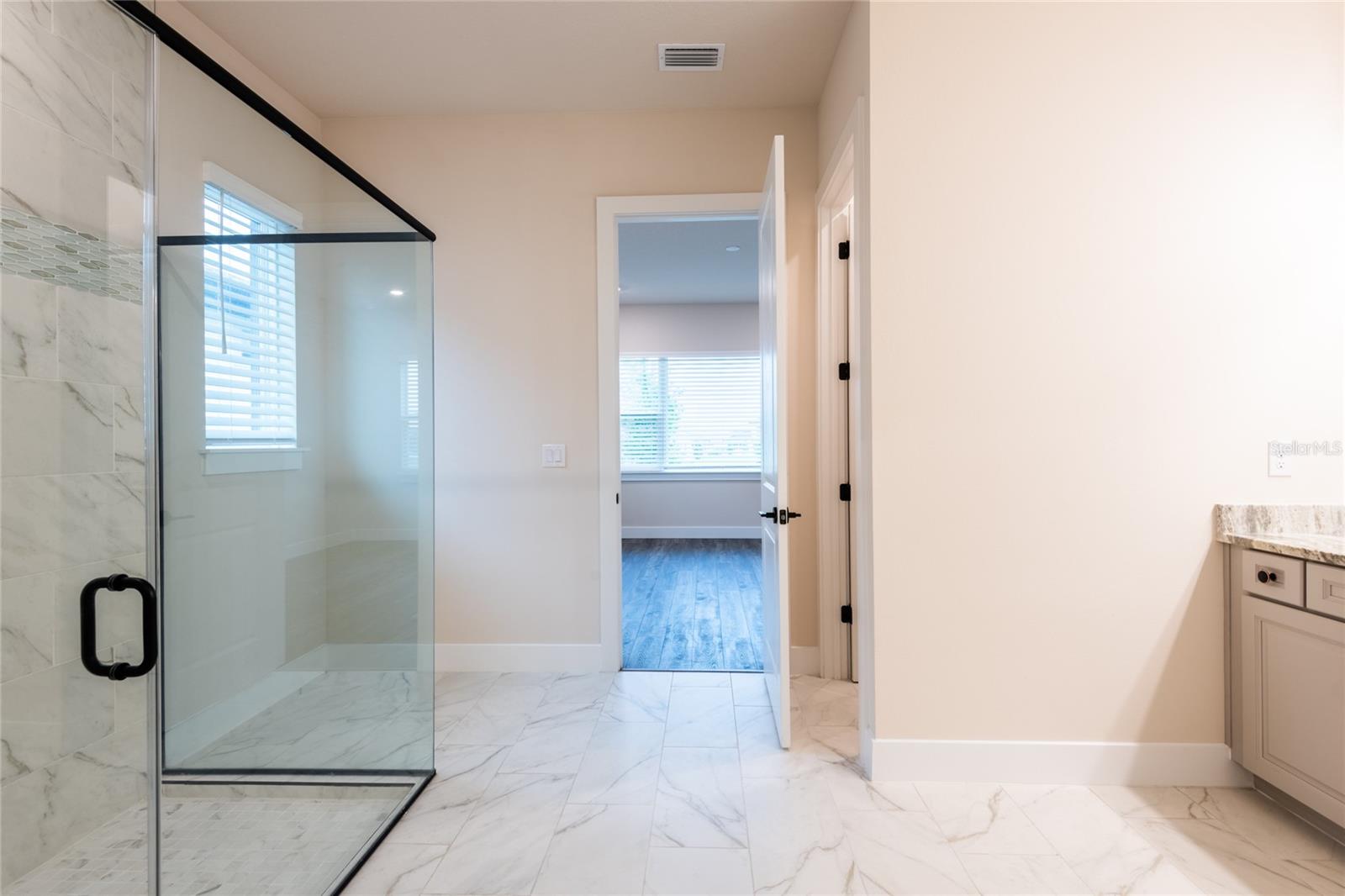 8749 DRUMMER PLANK DR, WESLEY CHAPEL, FL, 33545