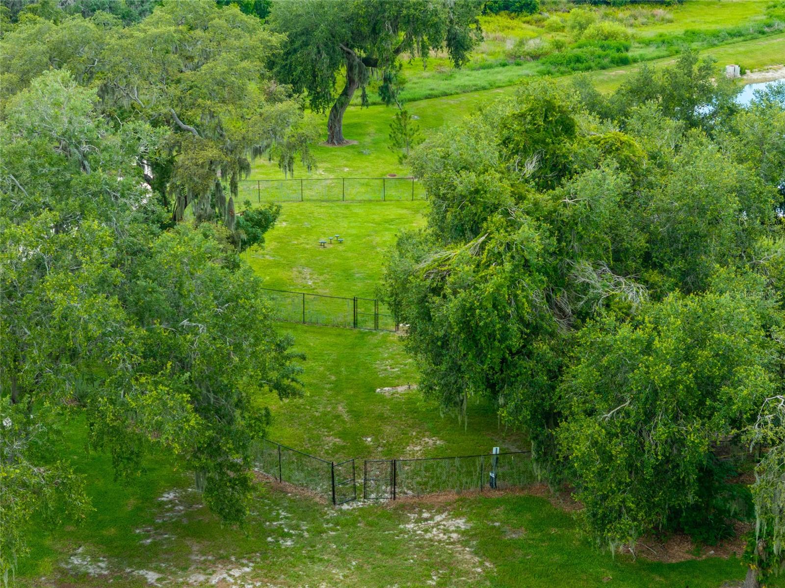 8749 DRUMMER PLANK DR, WESLEY CHAPEL, FL, 33545