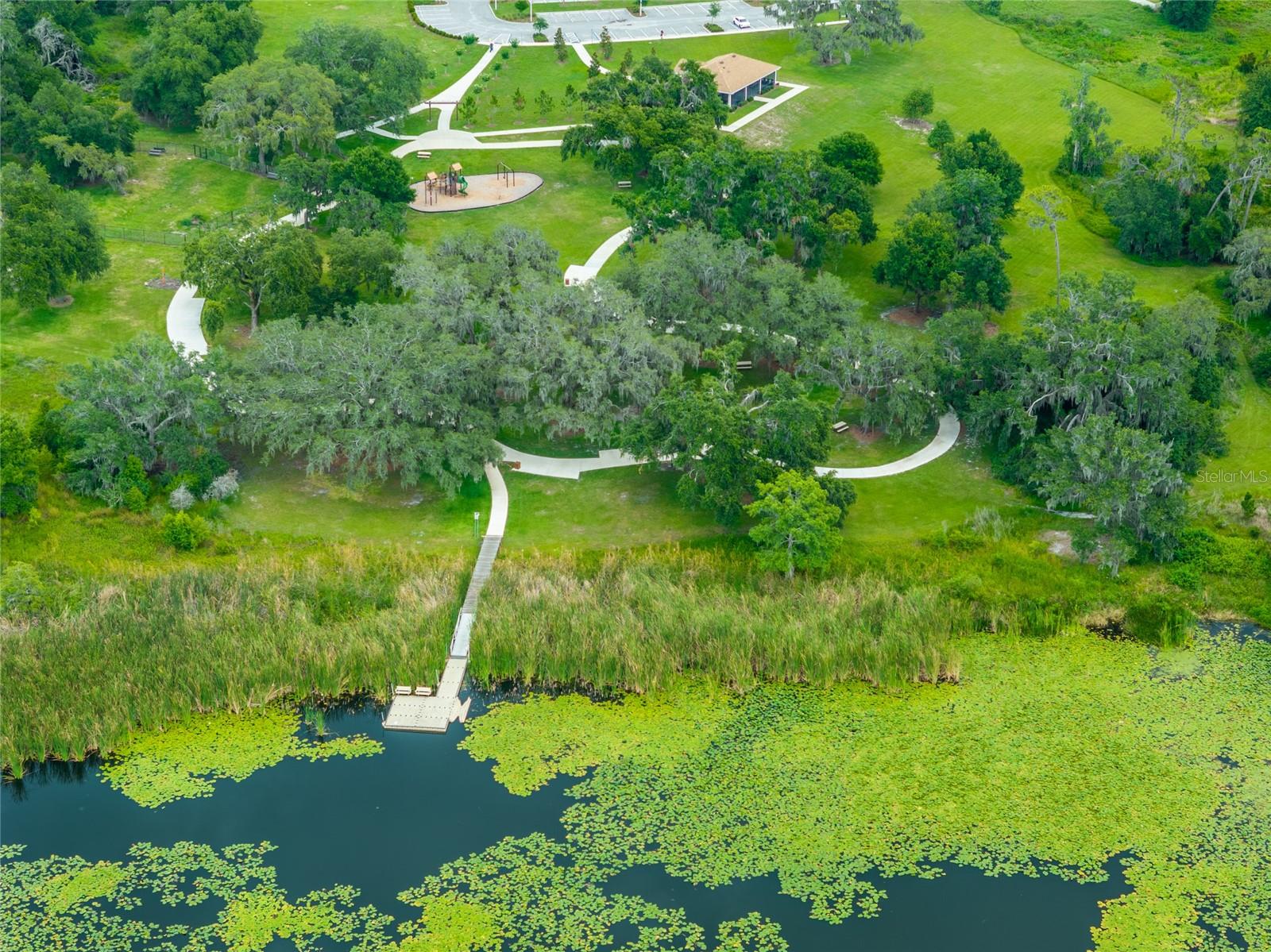 8749 DRUMMER PLANK DR, WESLEY CHAPEL, FL, 33545