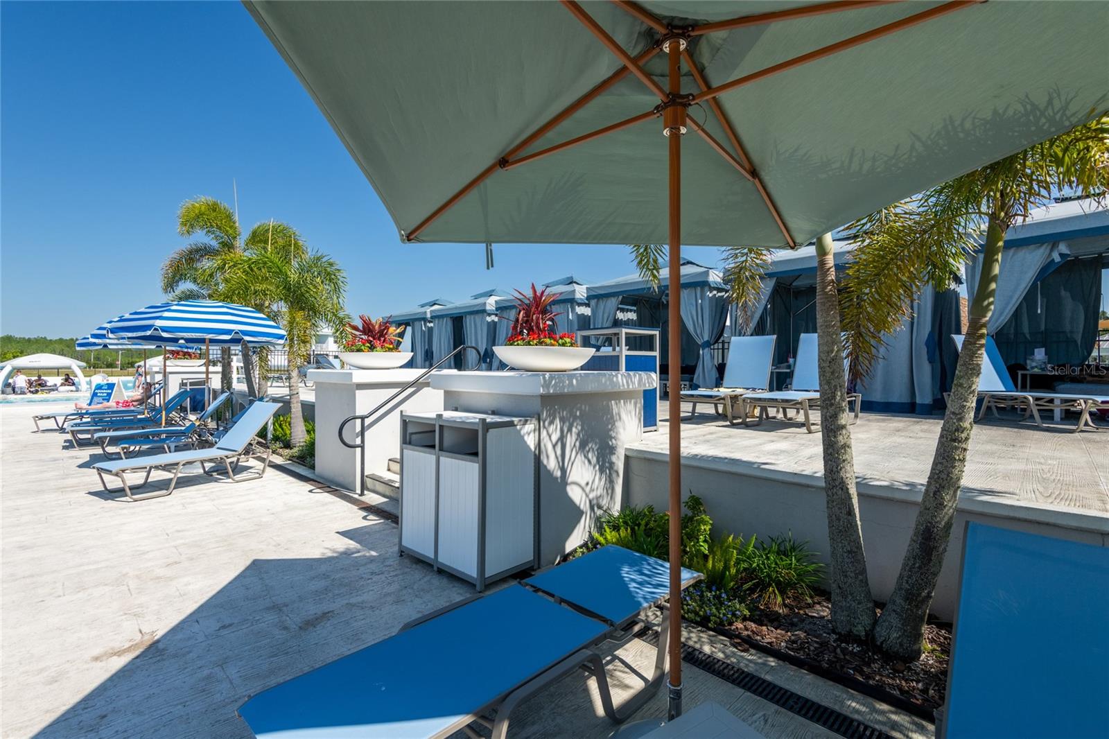 8749 DRUMMER PLANK DR, WESLEY CHAPEL, FL, 33545