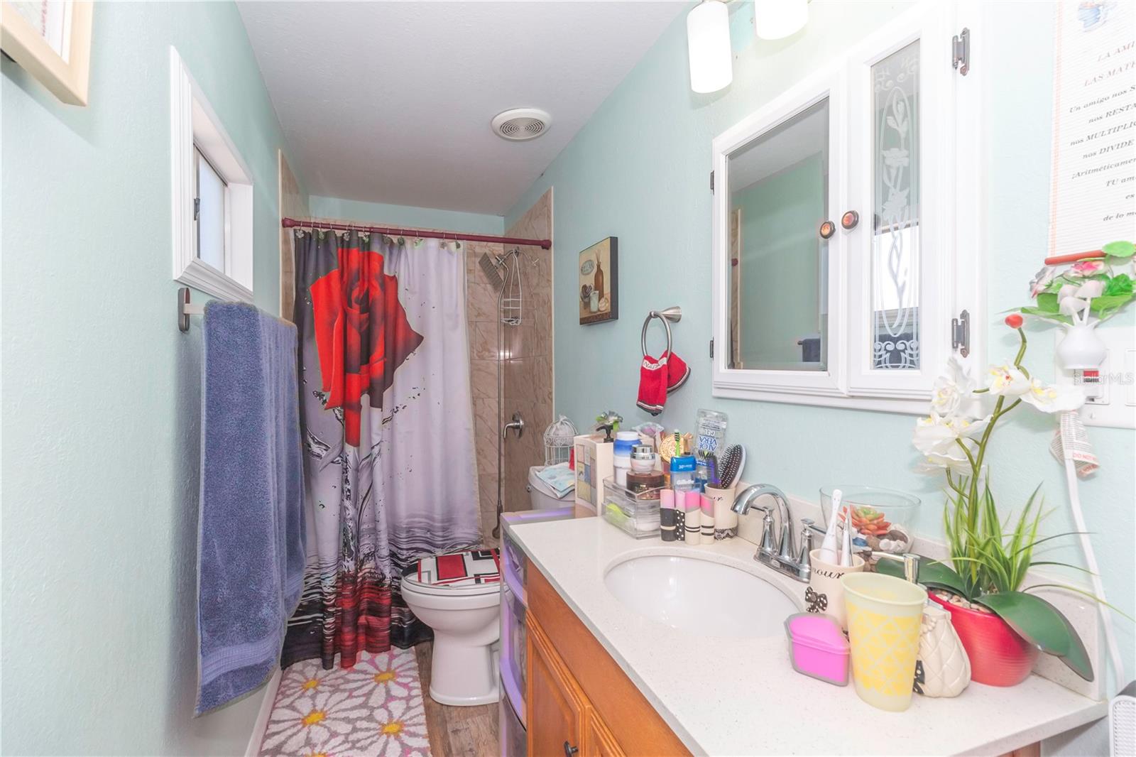 5824 PORTSMOUTH DR, TAMPA, FL, 33615