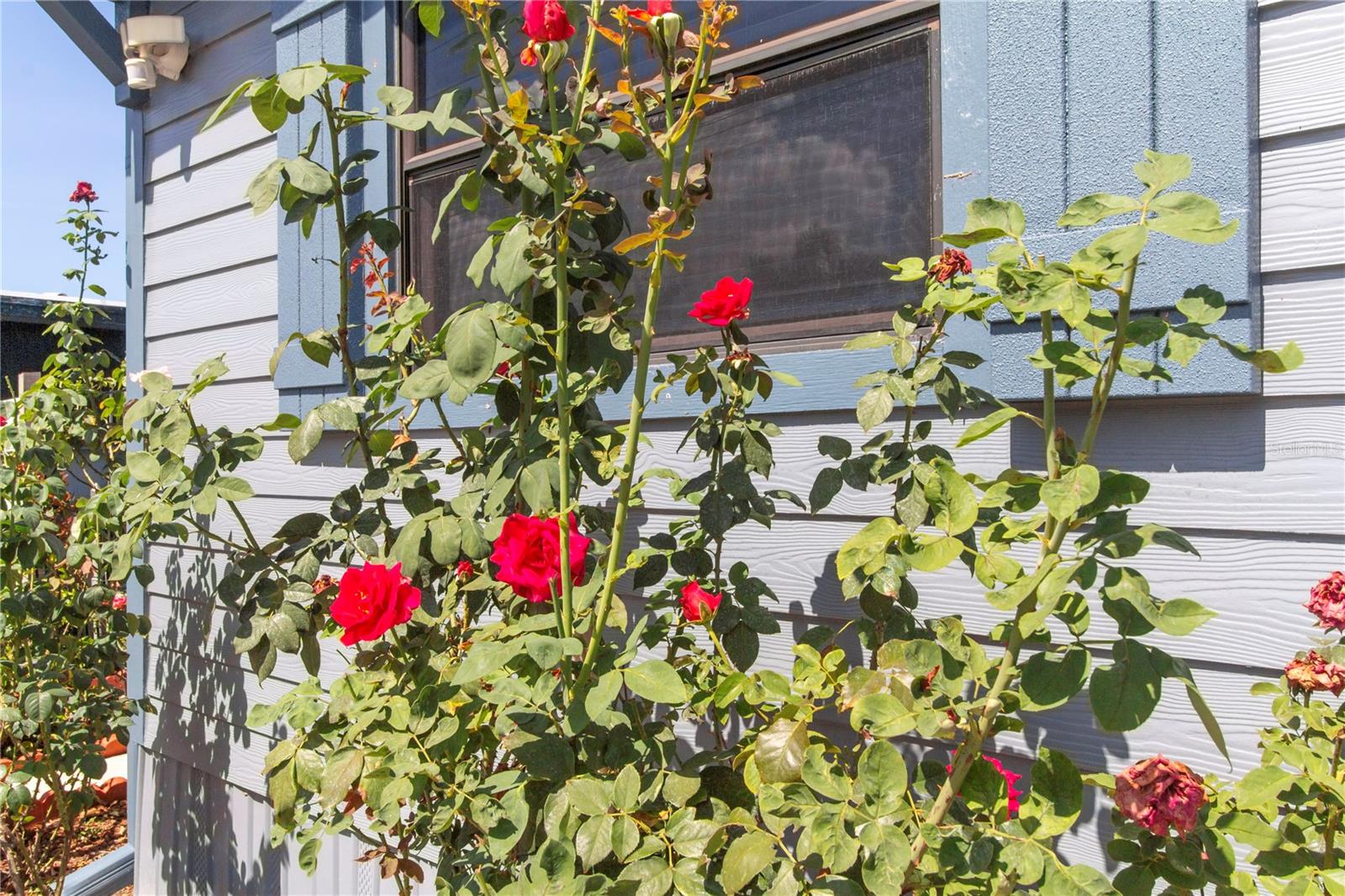 5824 PORTSMOUTH DR, TAMPA, FL, 33615