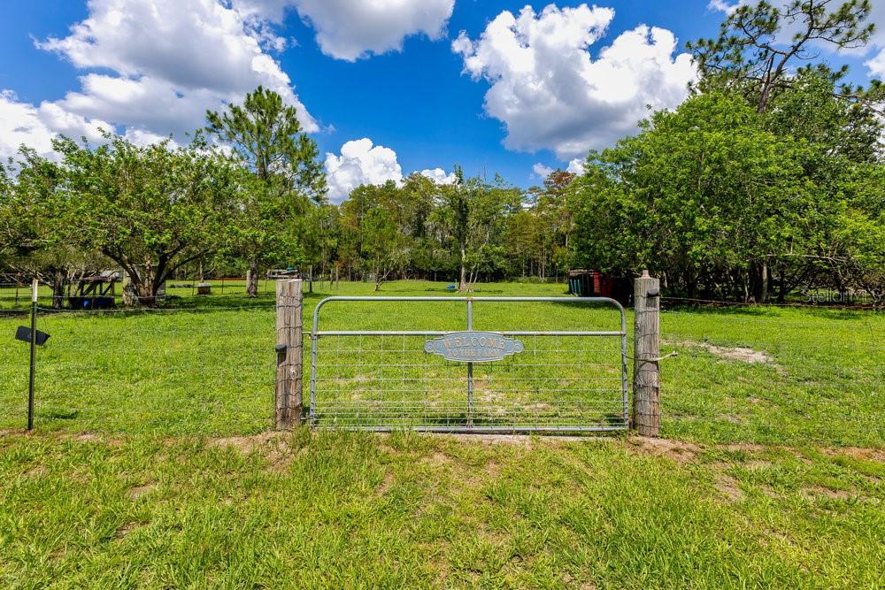 4361 ALBRITTON RD, ST CLOUD, FL, 34772