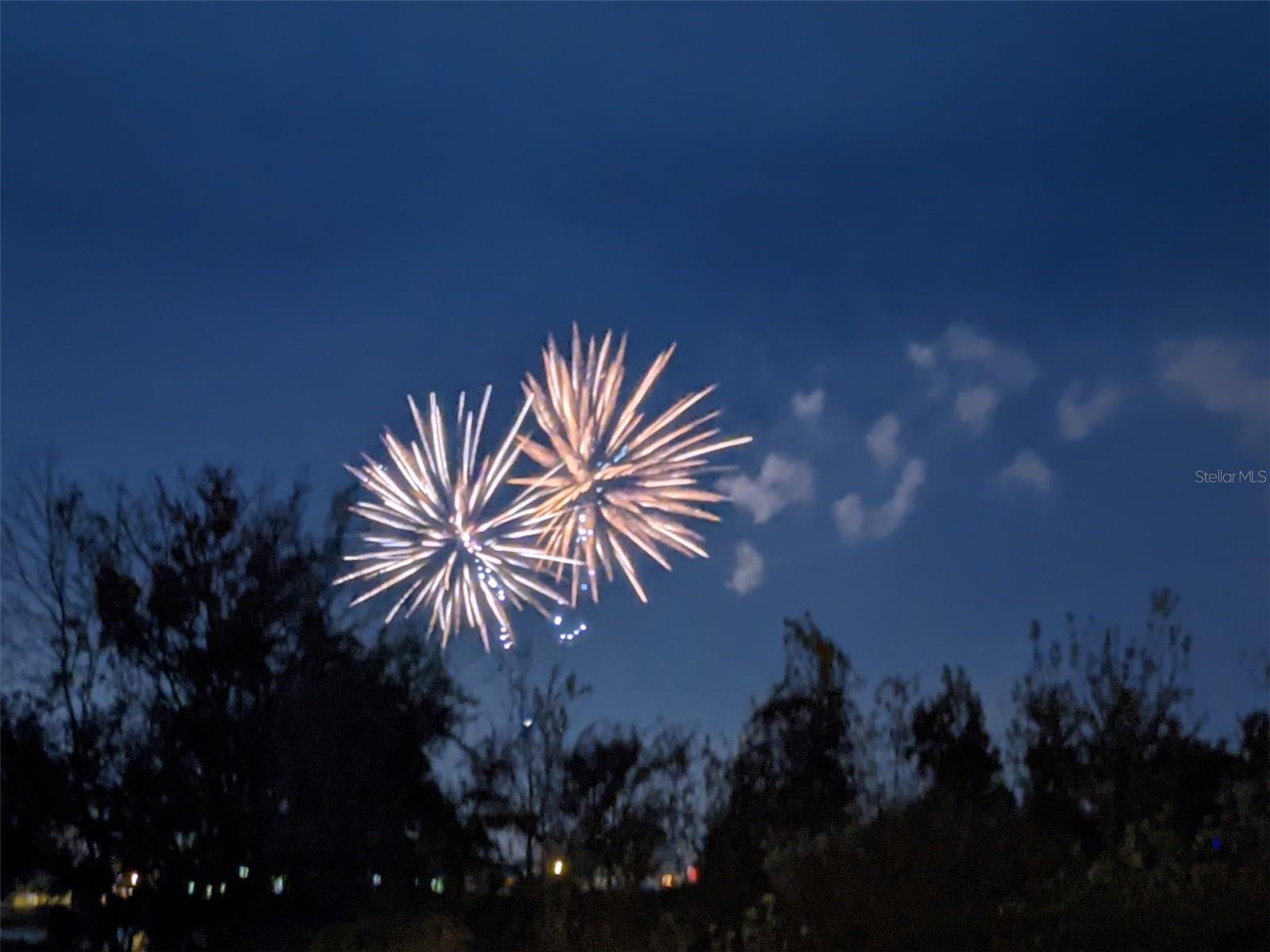 14845 SPEER LAKE DR, WINTER GARDEN, FL, 34787