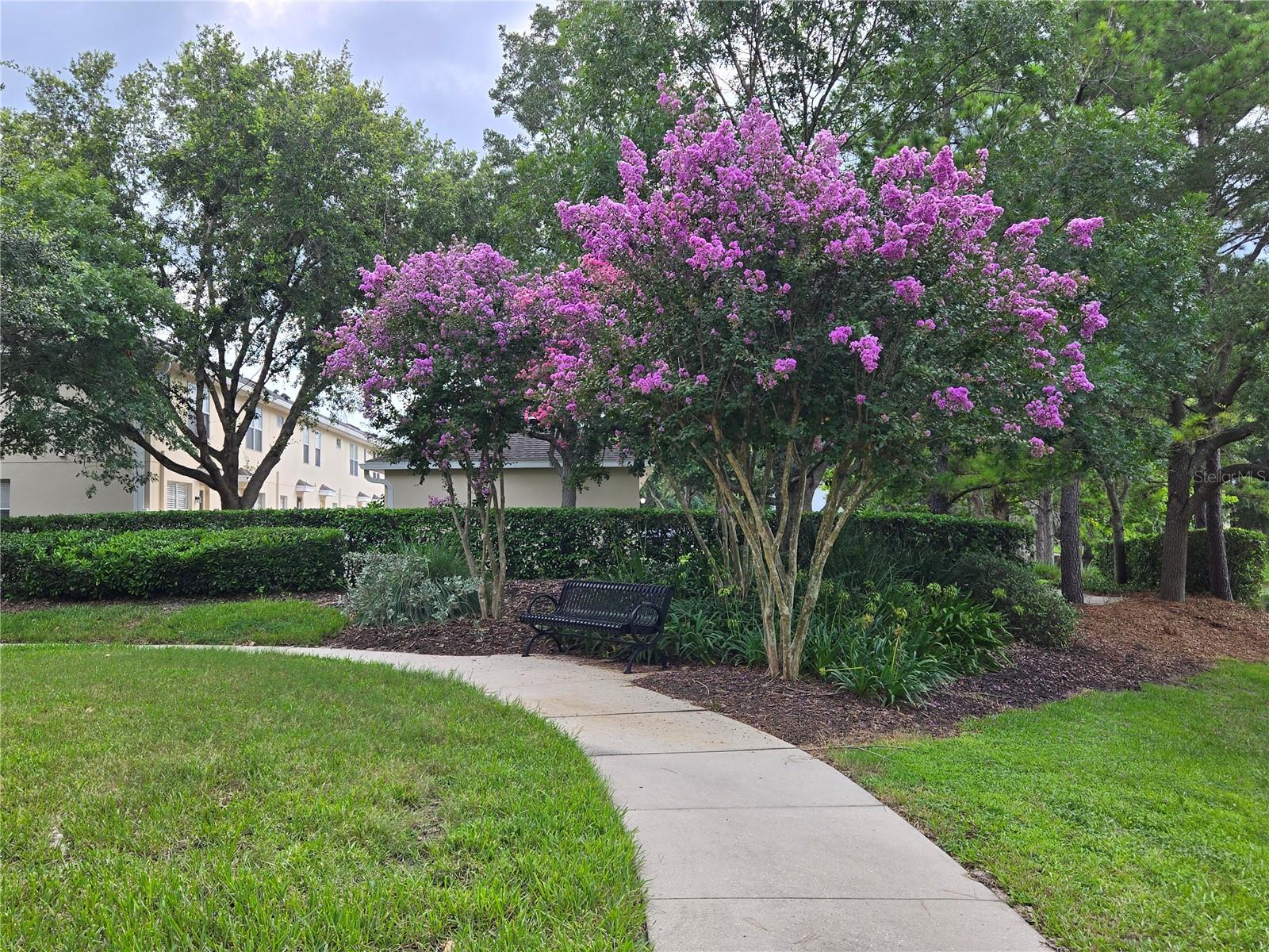 14845 SPEER LAKE DR, WINTER GARDEN, FL, 34787