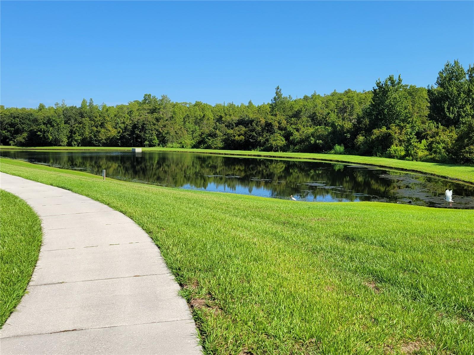 14845 SPEER LAKE DR, WINTER GARDEN, FL, 34787