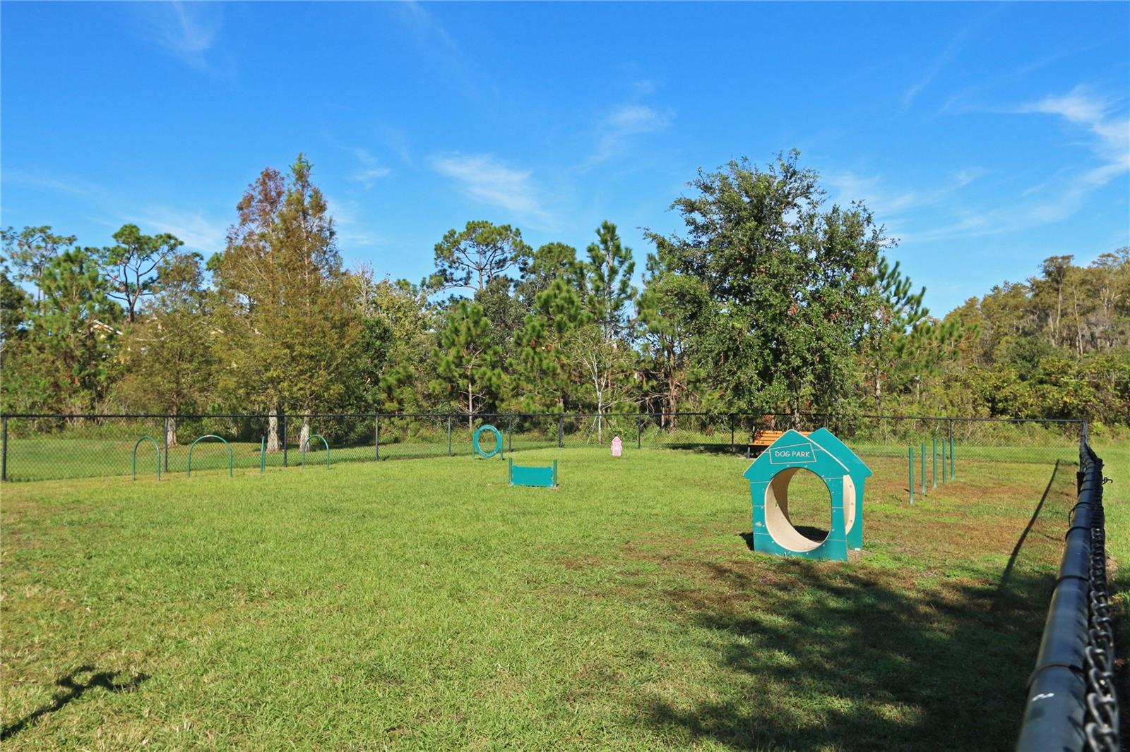 14845 SPEER LAKE DR, WINTER GARDEN, FL, 34787