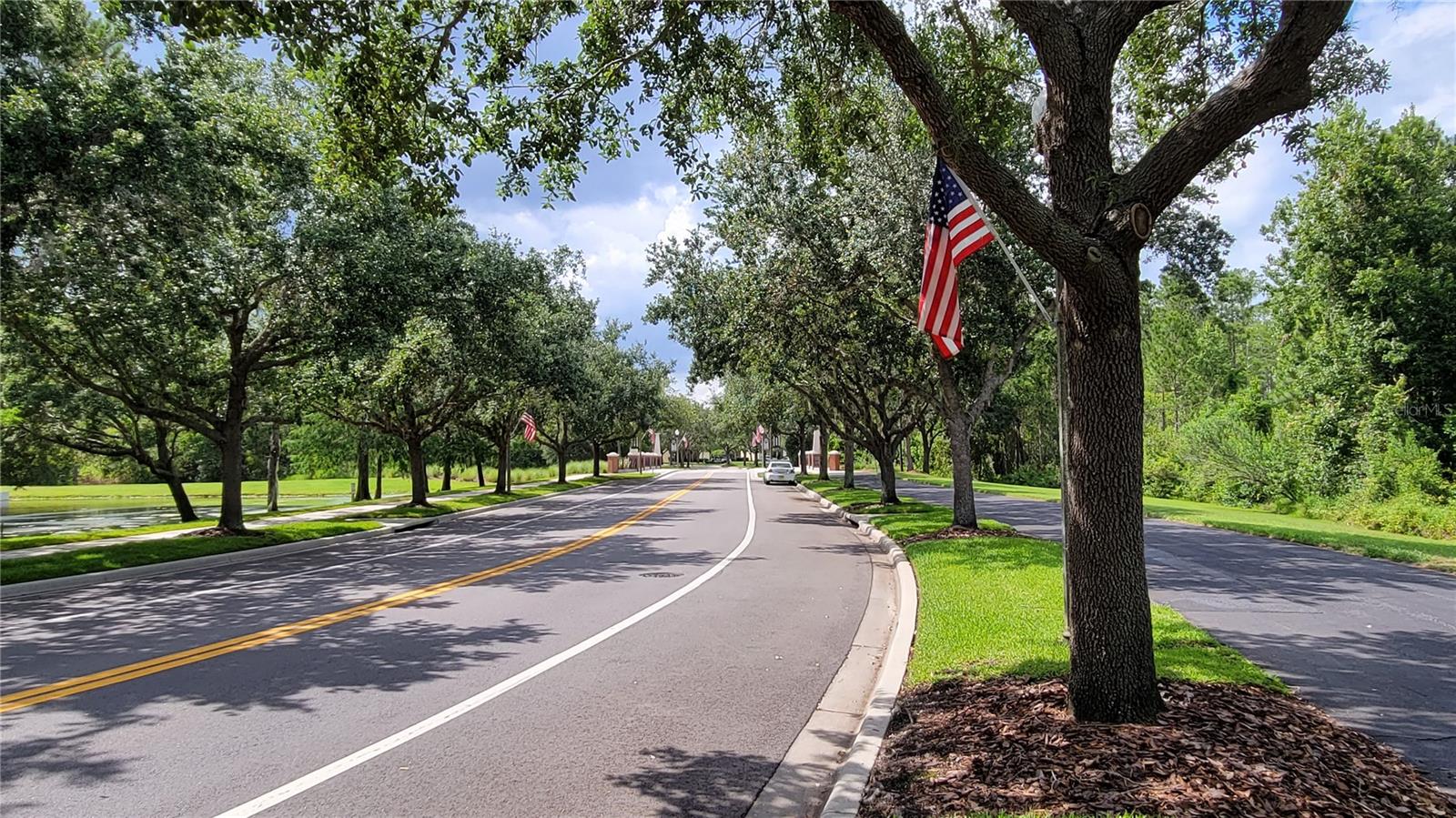 14845 SPEER LAKE DR, WINTER GARDEN, FL, 34787