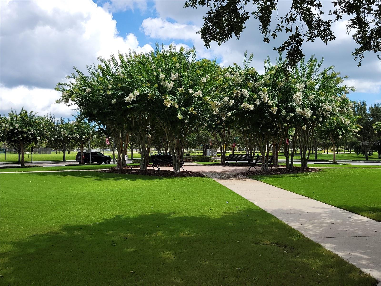 14845 SPEER LAKE DR, WINTER GARDEN, FL, 34787