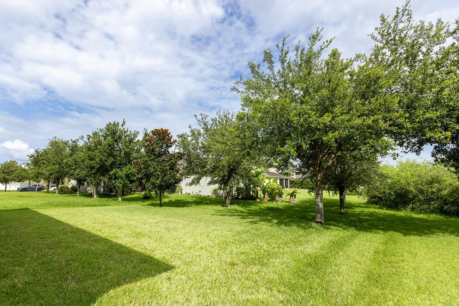 14845 SPEER LAKE DR, WINTER GARDEN, FL, 34787