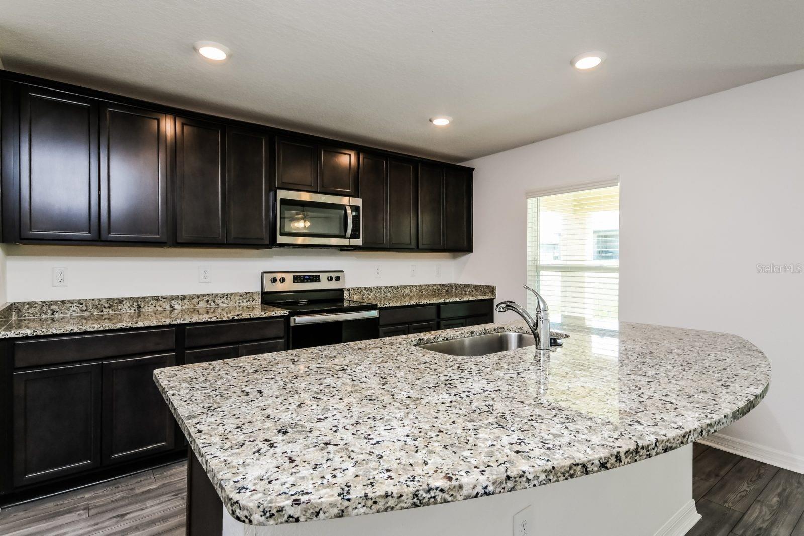 1387 SWAN LAKE CIR, DUNDEE, FL, 33838