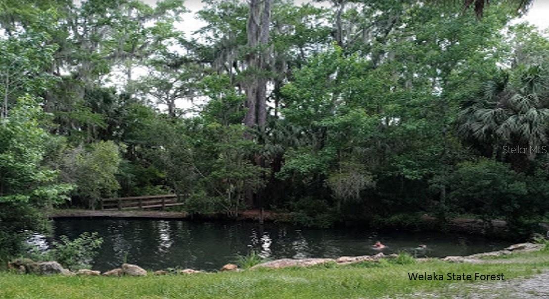 SUSAN ST, INTERLACHEN, FL, 32148