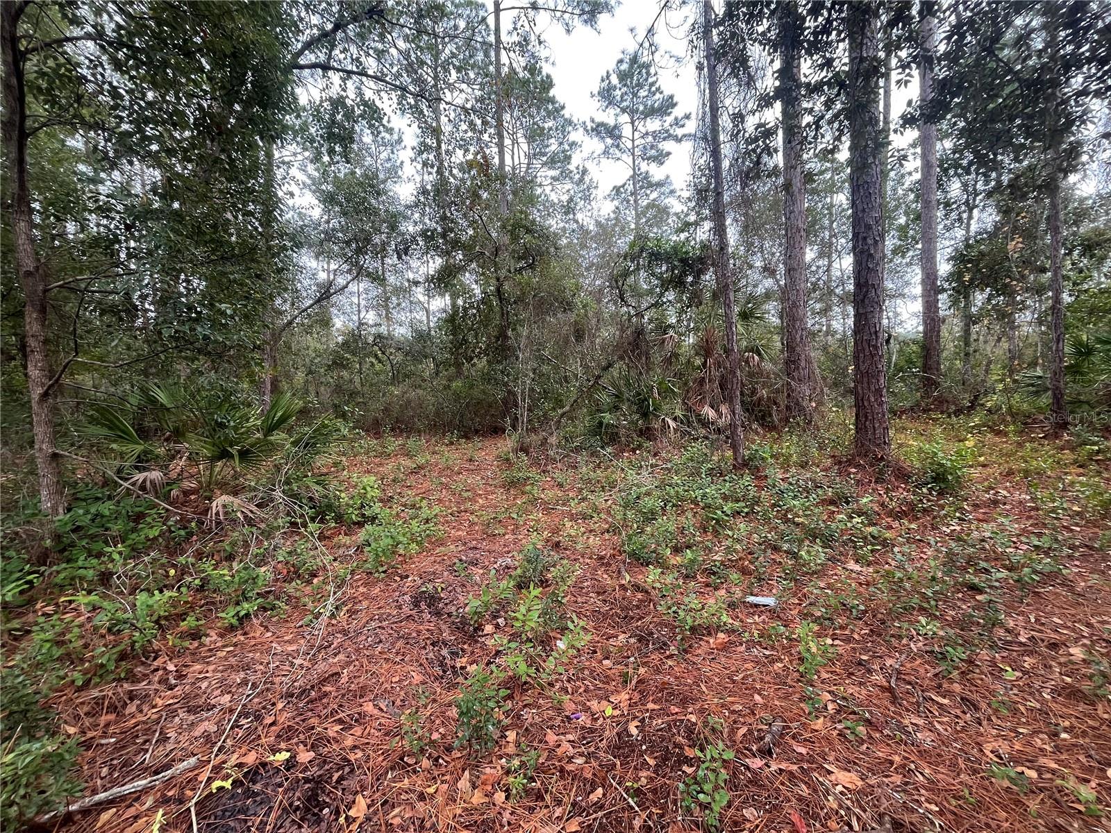 SUSAN ST, INTERLACHEN, FL, 32148