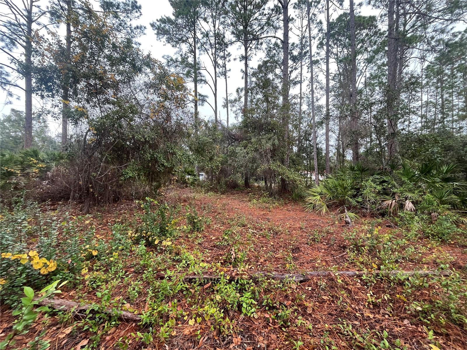 SUSAN ST, INTERLACHEN, FL, 32148