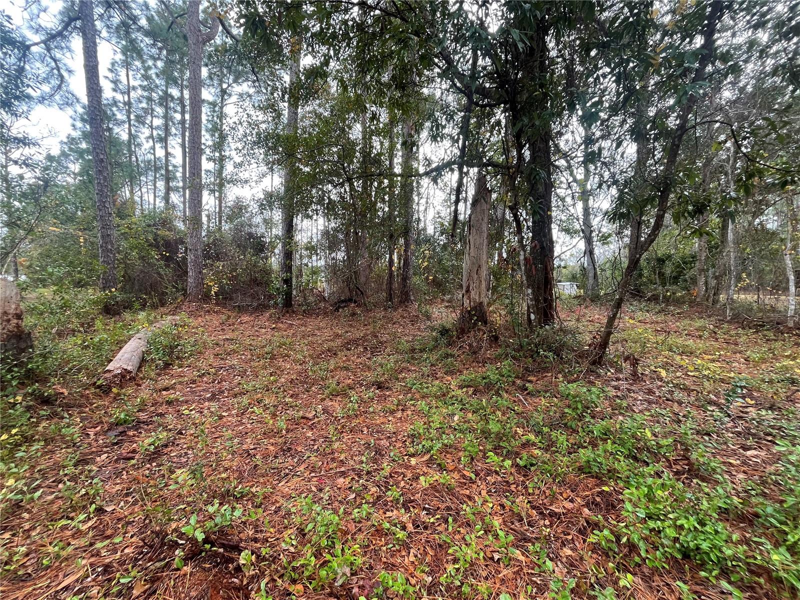 SUSAN ST, INTERLACHEN, FL, 32148