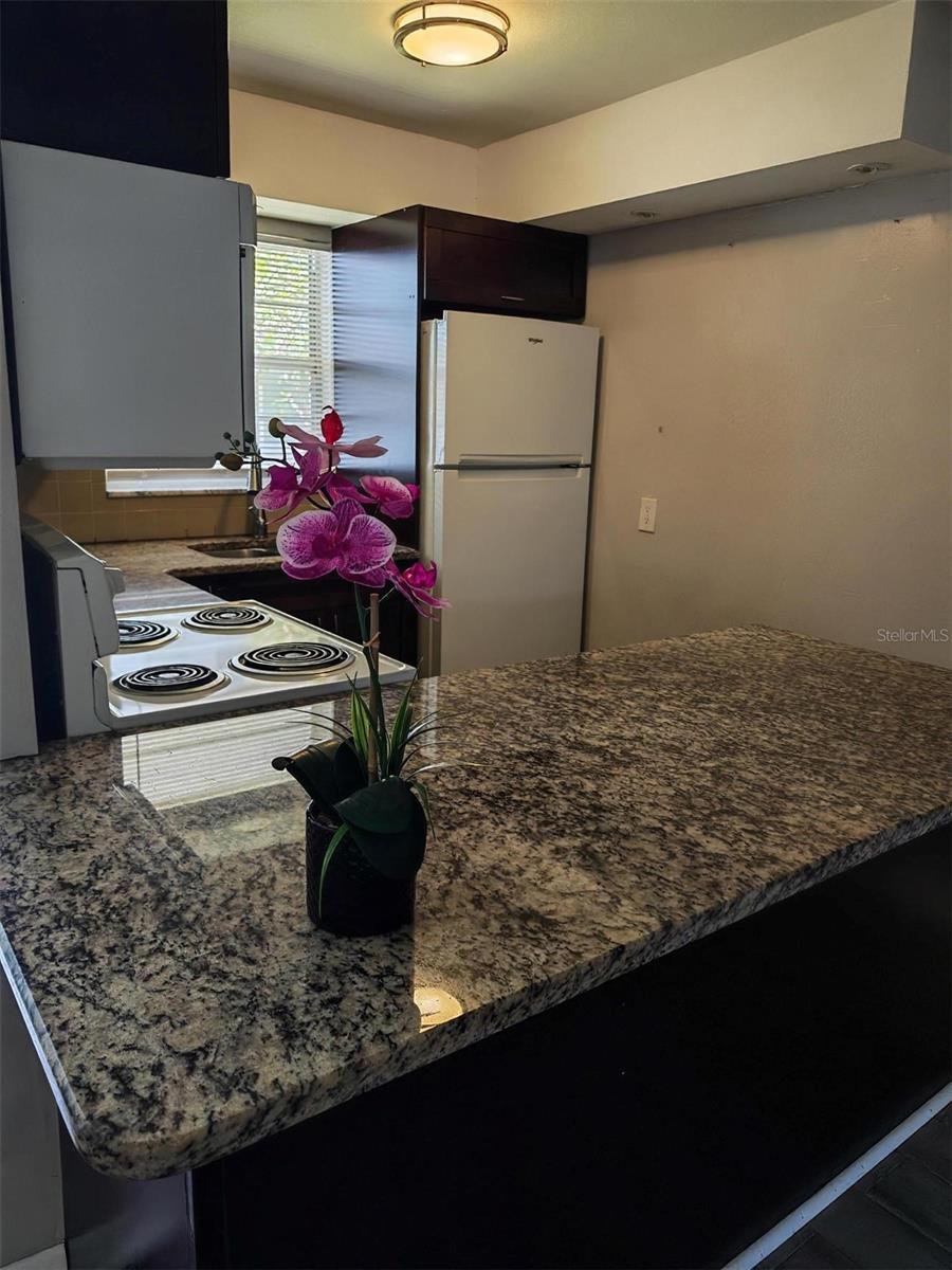 3100 36TH ST N #7, ST PETERSBURG, FL, 33713