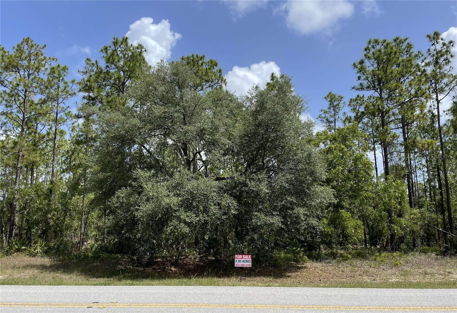 4839 W MUSTANG BLVD, BEVERLY HILLS, FL, 34465