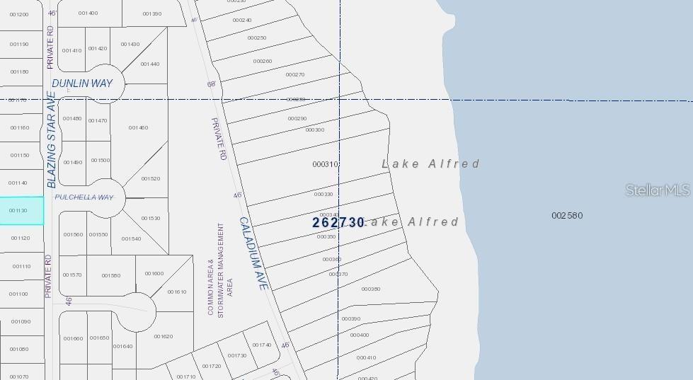 231 BLAZING STAR AVE, LAKE ALFRED, FL, 33850