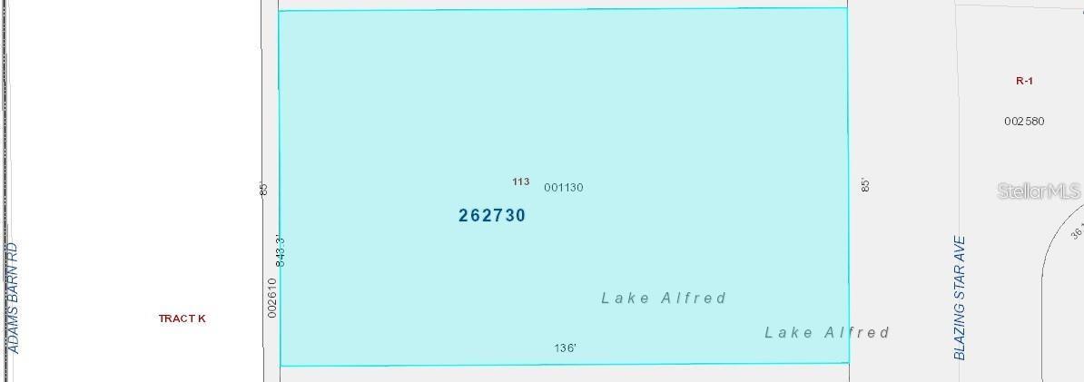 231 BLAZING STAR AVE, LAKE ALFRED, FL, 33850