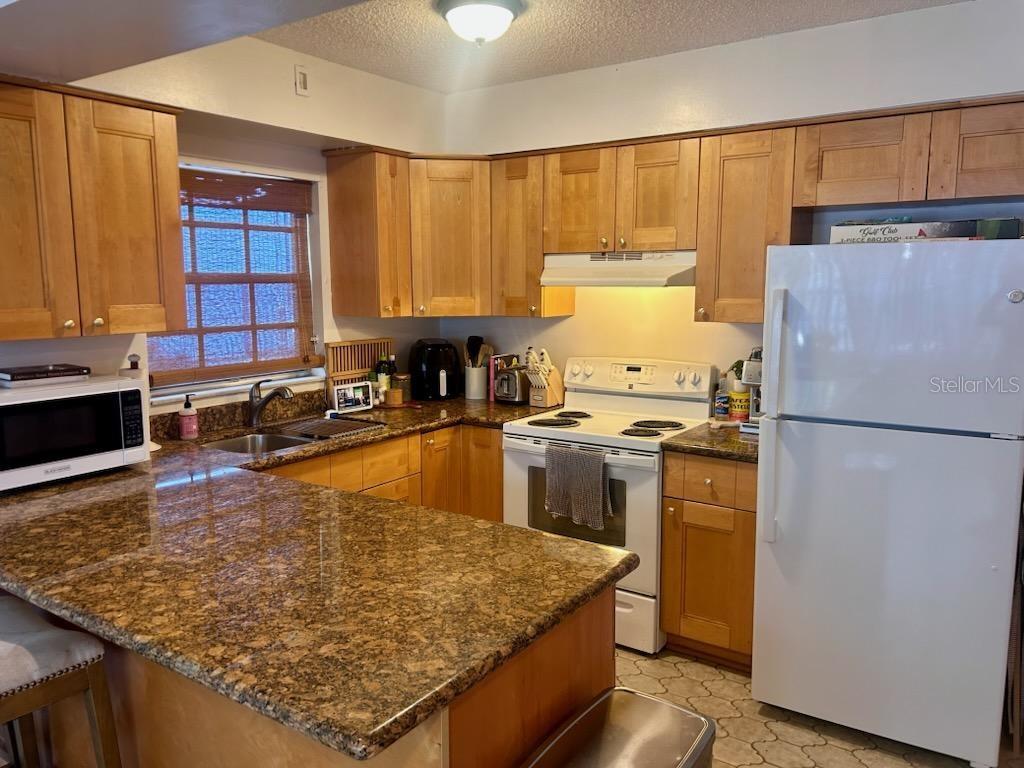 3409 W SAN JUAN ST, TAMPA, FL, 33629