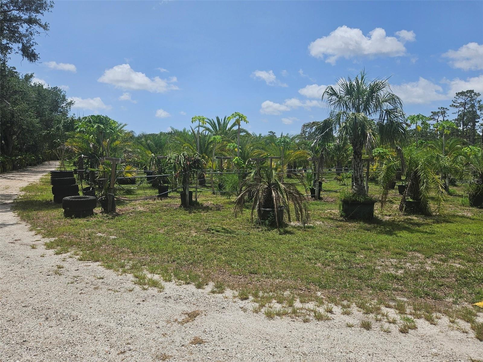 21910 TAYLOR DR, BRADENTON, FL, 34211