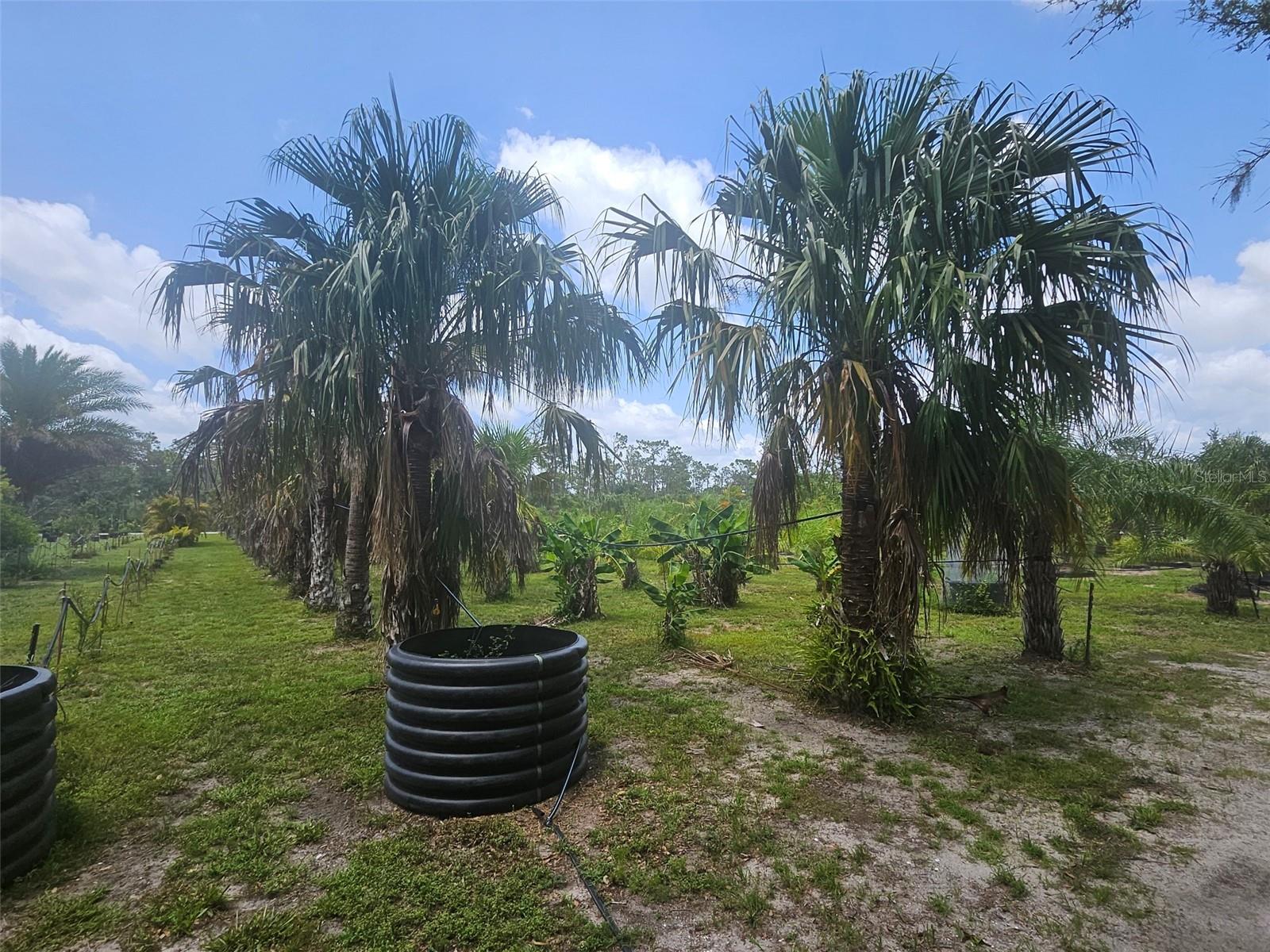 21910 TAYLOR DR, BRADENTON, FL, 34211