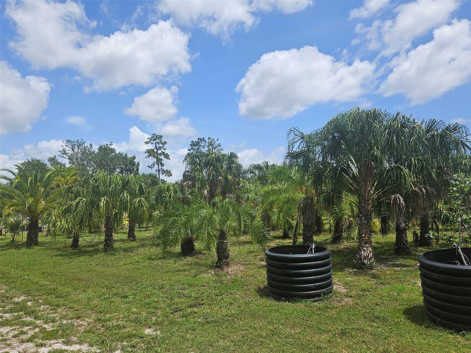 21910 TAYLOR DR, BRADENTON, FL, 34211