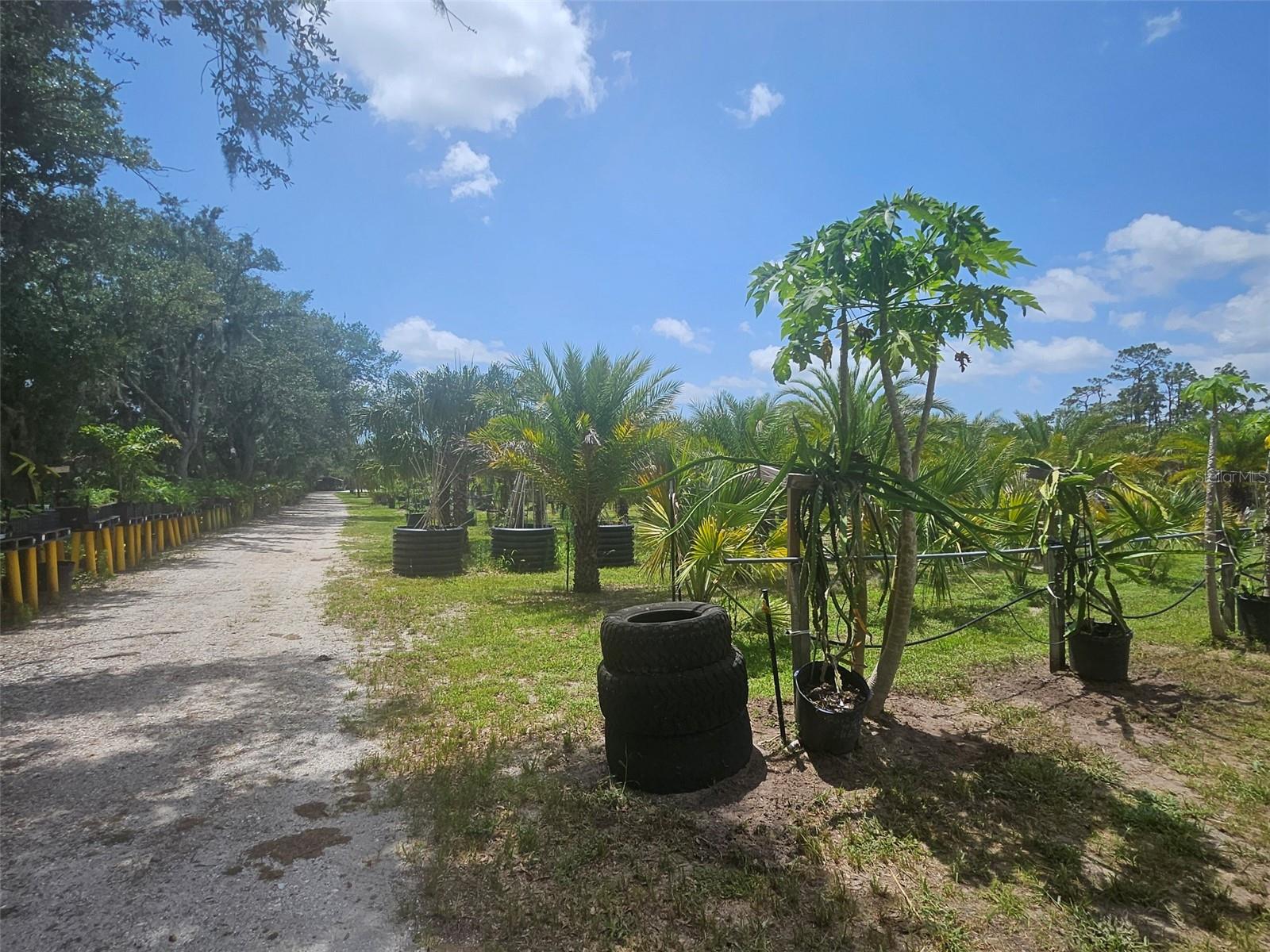 21910 TAYLOR DR, BRADENTON, FL, 34211