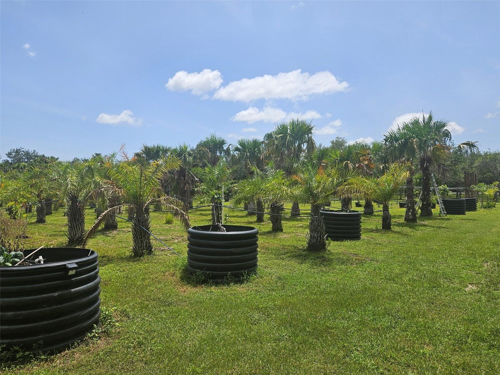 21910 TAYLOR DR, BRADENTON, FL, 34211