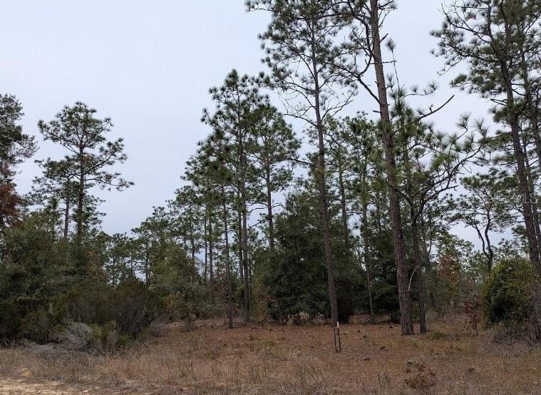 10037 SADDLE GATE CT, JACKSONVILLE, FL, 32219