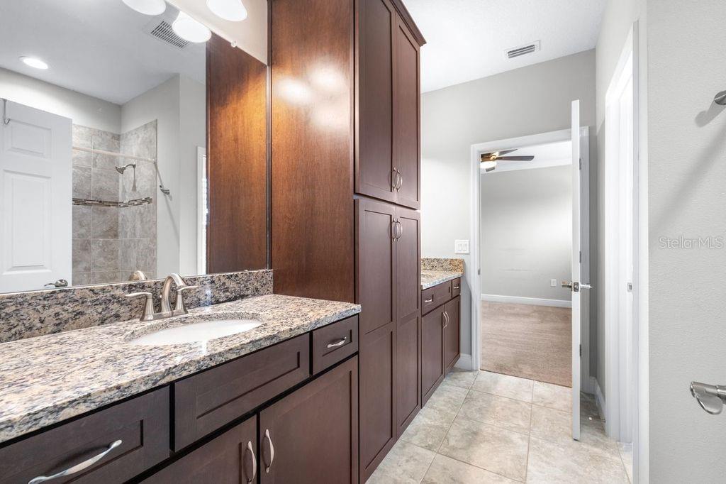 21675 AMELIA ROSE WAY, LAND O LAKES, FL, 34637