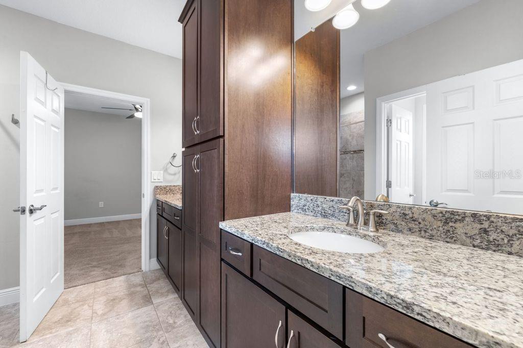 21675 AMELIA ROSE WAY, LAND O LAKES, FL, 34637