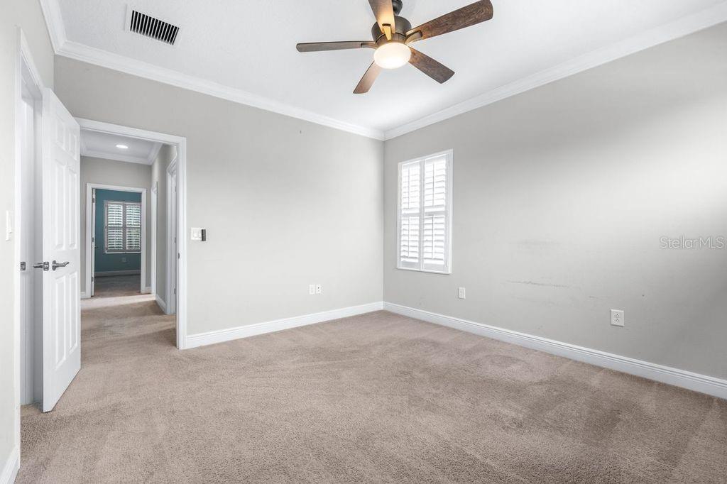 21675 AMELIA ROSE WAY, LAND O LAKES, FL, 34637