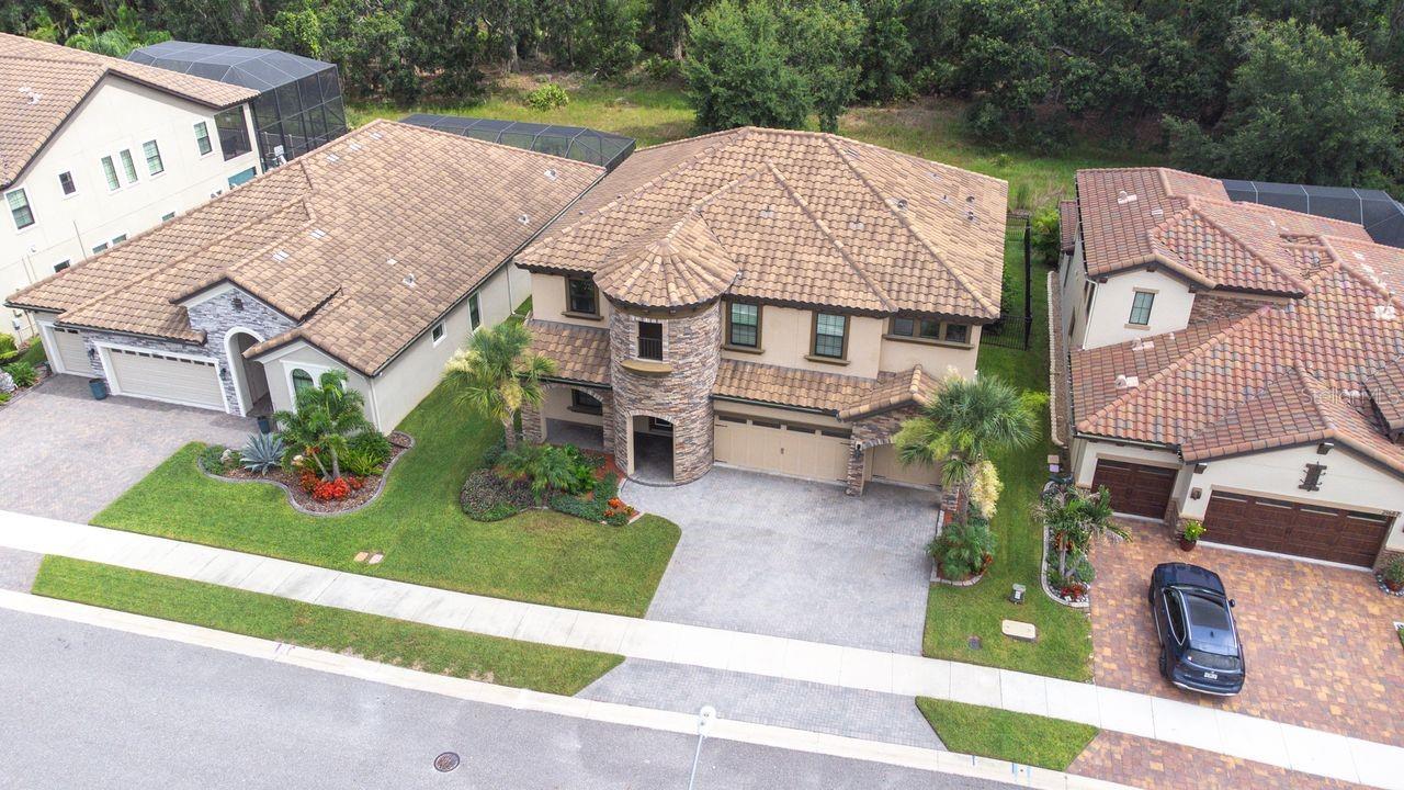 21675 AMELIA ROSE WAY, LAND O LAKES, FL, 34637