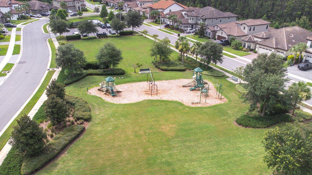 21675 AMELIA ROSE WAY, LAND O LAKES, FL, 34637