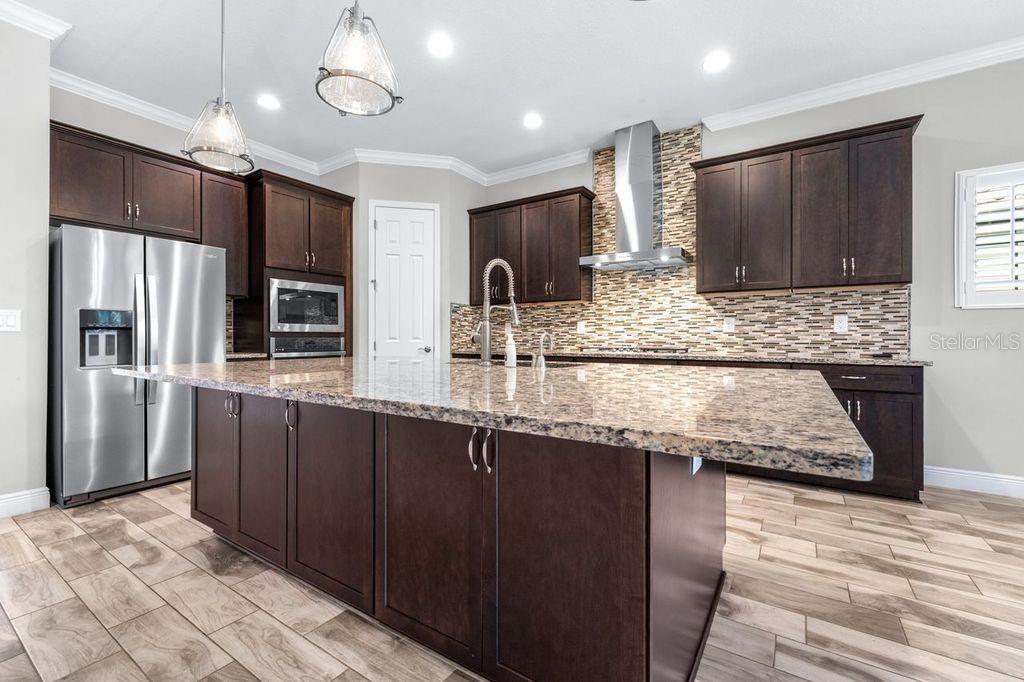 21675 AMELIA ROSE WAY, LAND O LAKES, FL, 34637