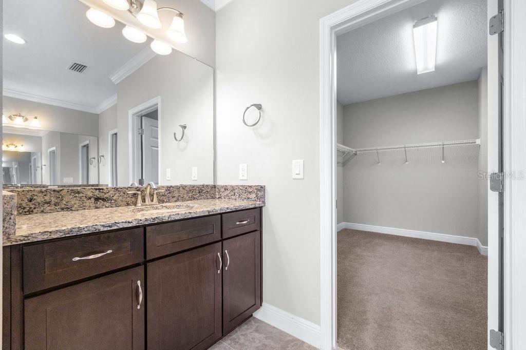 21675 AMELIA ROSE WAY, LAND O LAKES, FL, 34637