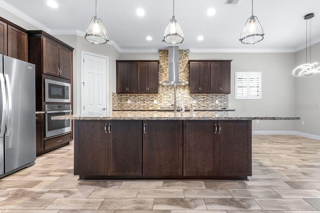 21675 AMELIA ROSE WAY, LAND O LAKES, FL, 34637