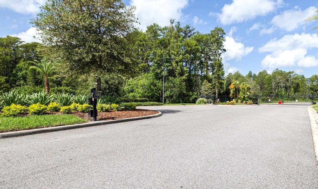 21675 AMELIA ROSE WAY, LAND O LAKES, FL, 34637