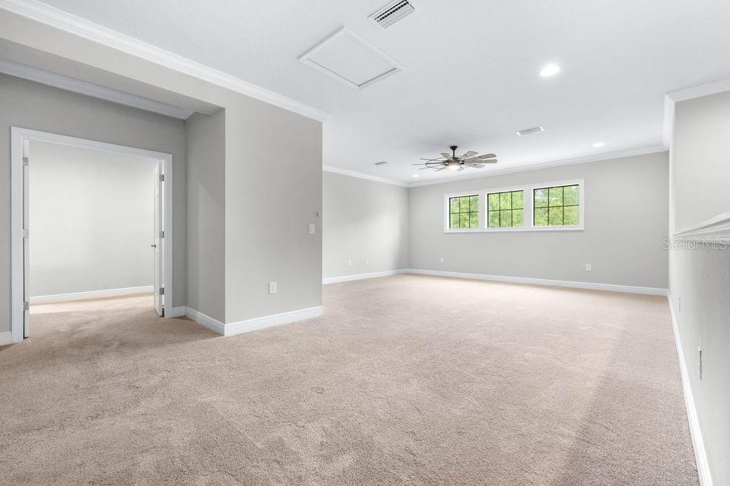 21675 AMELIA ROSE WAY, LAND O LAKES, FL, 34637