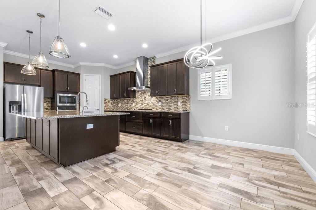 21675 AMELIA ROSE WAY, LAND O LAKES, FL, 34637