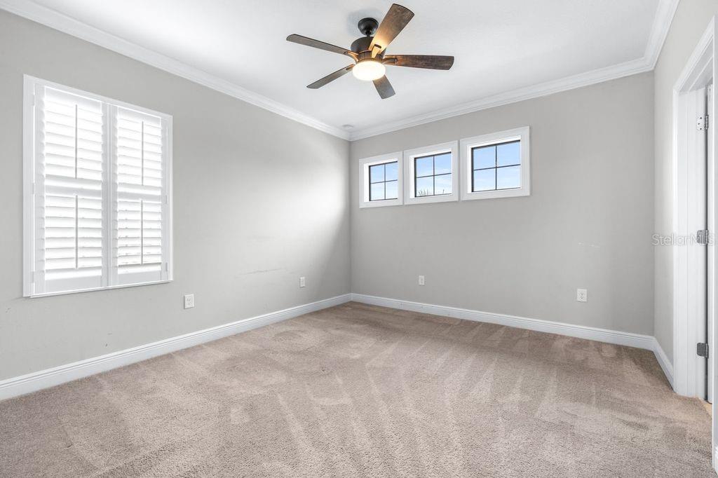 21675 AMELIA ROSE WAY, LAND O LAKES, FL, 34637