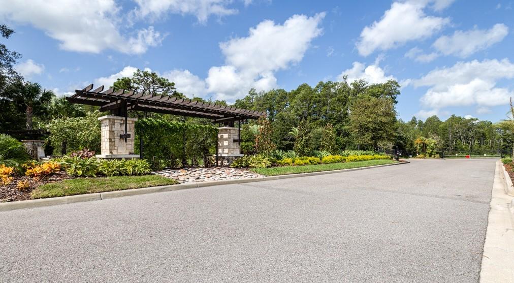 21675 AMELIA ROSE WAY, LAND O LAKES, FL, 34637