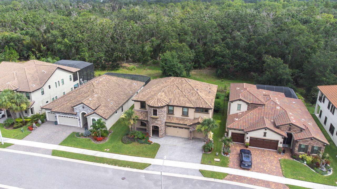 21675 AMELIA ROSE WAY, LAND O LAKES, FL, 34637