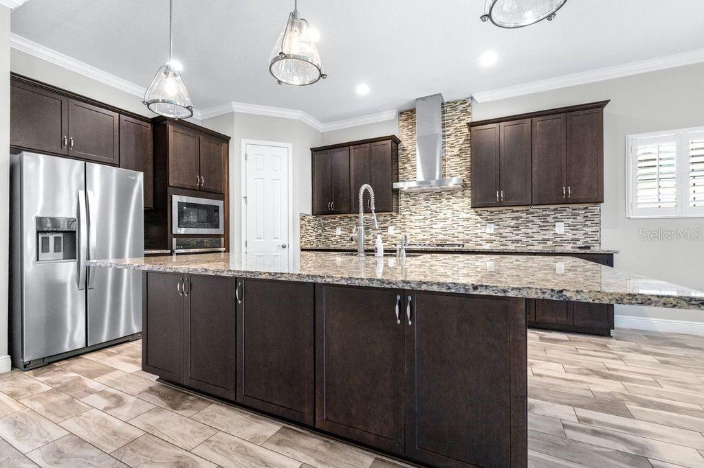 21675 AMELIA ROSE WAY, LAND O LAKES, FL, 34637