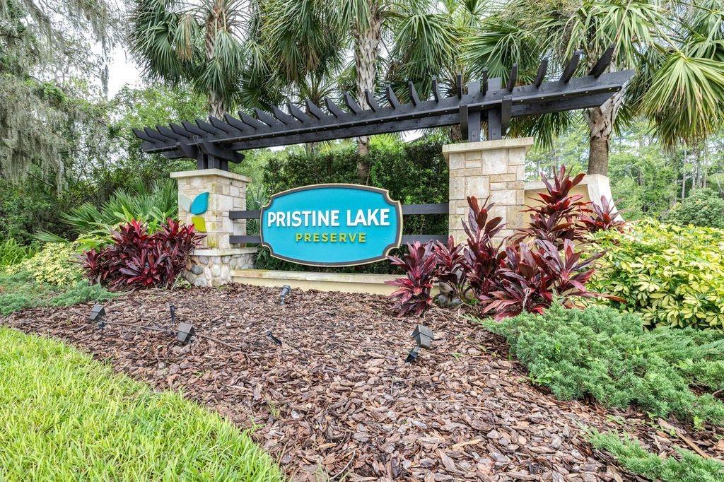 21675 AMELIA ROSE WAY, LAND O LAKES, FL, 34637