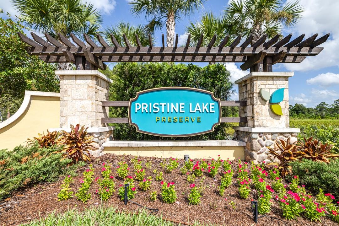 21675 AMELIA ROSE WAY, LAND O LAKES, FL, 34637